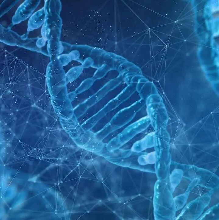 Stem Cells & DNA